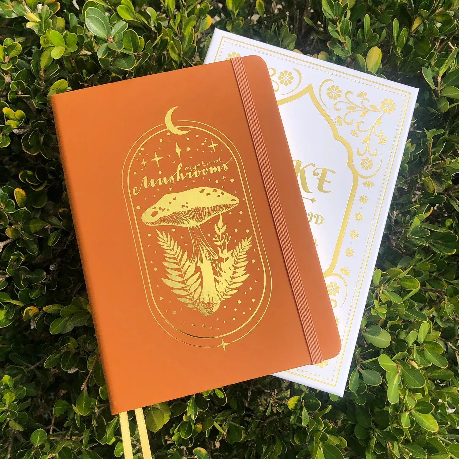 MyStical Mashroom Bullet Dot Grid Notizbuch Gepunktetes Journal A5 PU-Leder Hardcover 160 g/m² Bambuspapier und Goldkante GESCHENKBOX-zoom-4