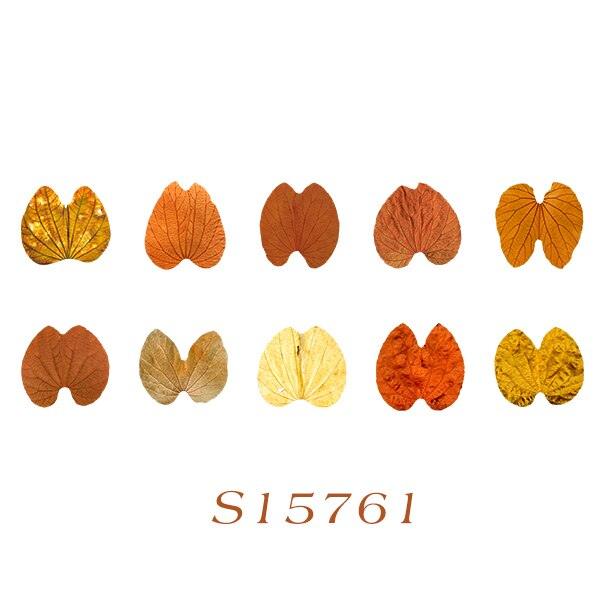 BUKE 8 Styles Aesthetic Leaves Washi Tape Stickers Creative Literary DIY Fallen Leaves Hand Account Decorative masking tape - bukenotebook