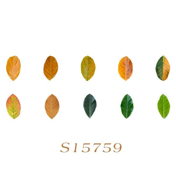 BUKE 8 Styles Aesthetic Leaves Washi Tape Stickers Creative Literary DIY Fallen Leaves Hand Account Decorative masking tape - bukenotebook
