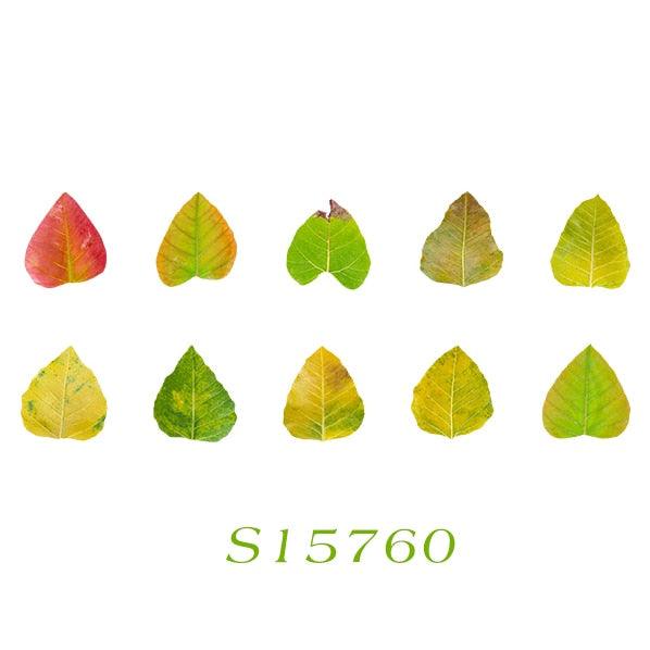 BUKE 8 Styles Aesthetic Leaves Washi Tape Stickers Creative Literary DIY Fallen Leaves Hand Account Decorative masking tape - bukenotebook