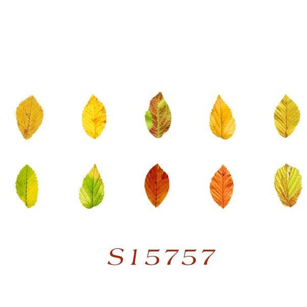 BUKE 8 Styles Aesthetic Leaves Washi Tape Stickers Creative Literary DIY Fallen Leaves Hand Account Decorative masking tape - bukenotebook