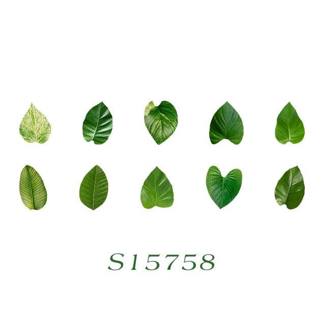 BUKE 8 Styles Aesthetic Leaves Washi Tape Stickers Creative Literary DIY Fallen Leaves Hand Account Decorative masking tape - bukenotebook